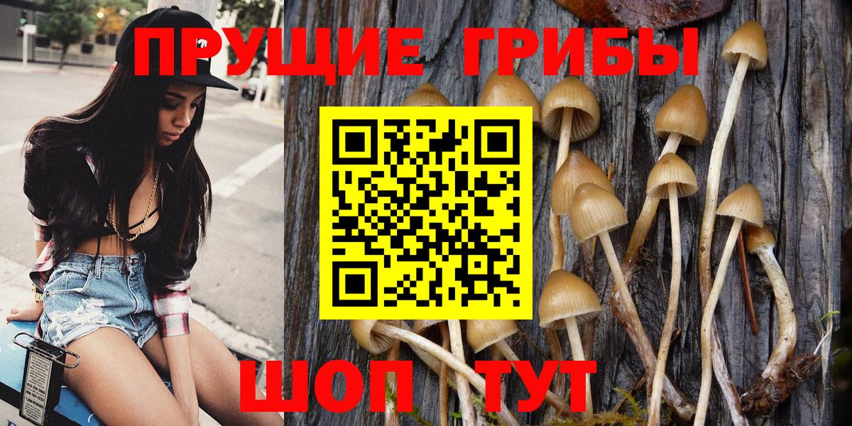 продажа наркотиков  Вход с VPN  Моздок  Псилоцибиновые грибы ЛСД  Псилоцибиновые грибы Magic Shrooms 